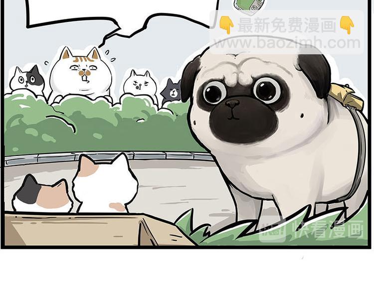 🍘吾皇巴扎黑 第239话 “屁”的战争 第33页