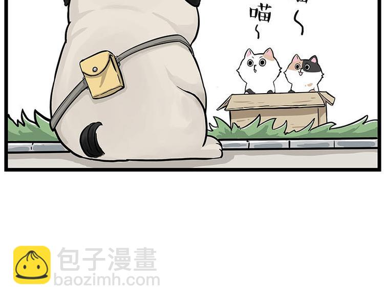 🍘吾皇巴扎黑 第239话 “屁”的战争 第35页