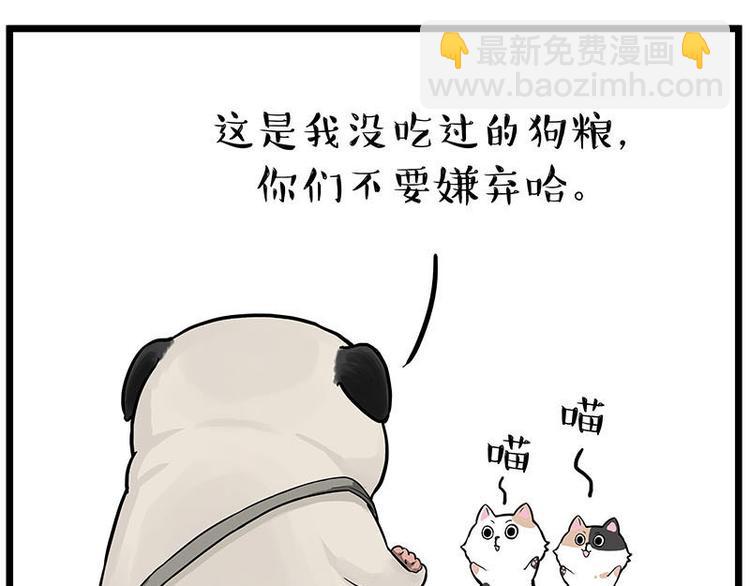🍘吾皇巴扎黑 第239话 “屁”的战争 第36页