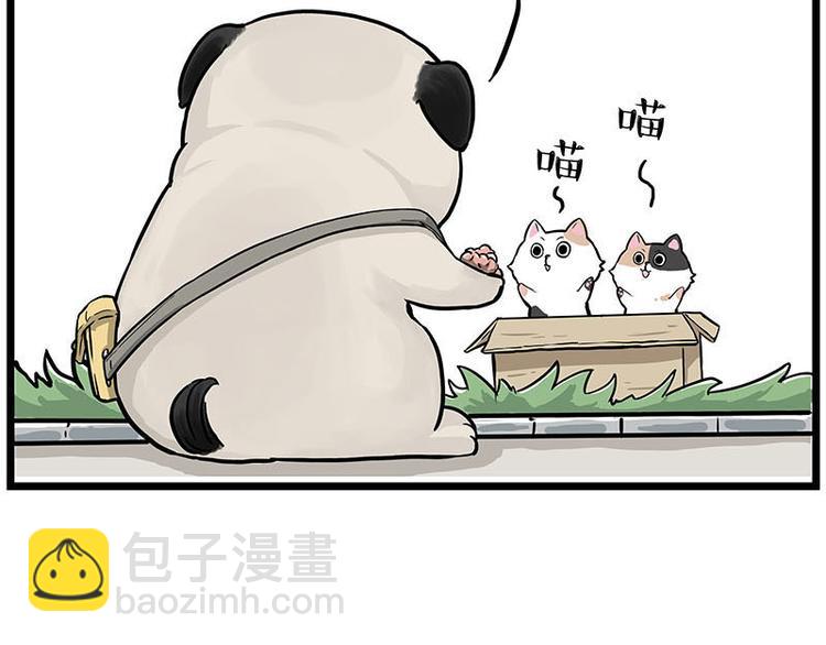 🍘吾皇巴扎黑 第239话 “屁”的战争 第38页