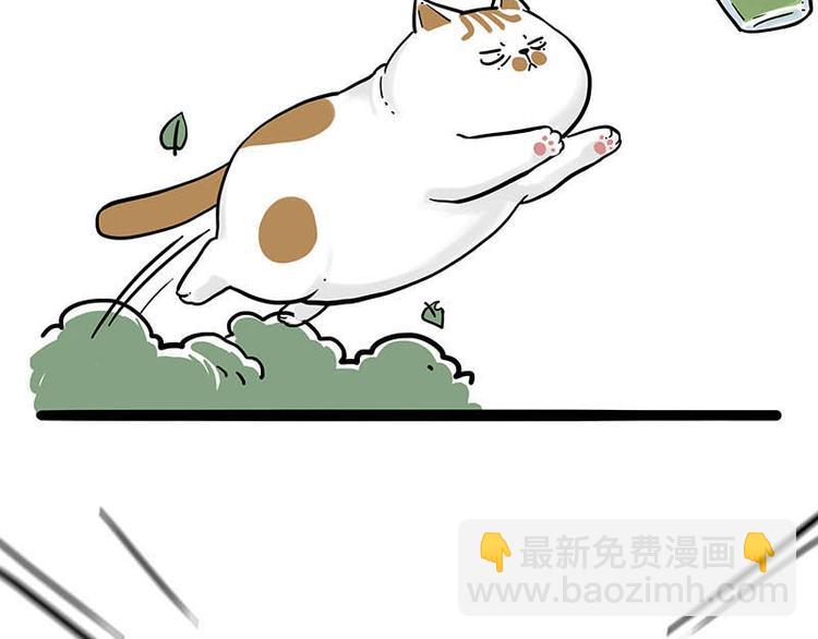 🍘吾皇巴扎黑 第239话 “屁”的战争 第44页