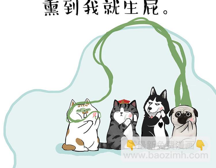 🍘吾皇巴扎黑 第239话 “屁”的战争 第6页