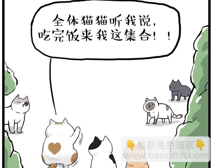 🍘吾皇巴扎黑 第239话 “屁”的战争 第8页