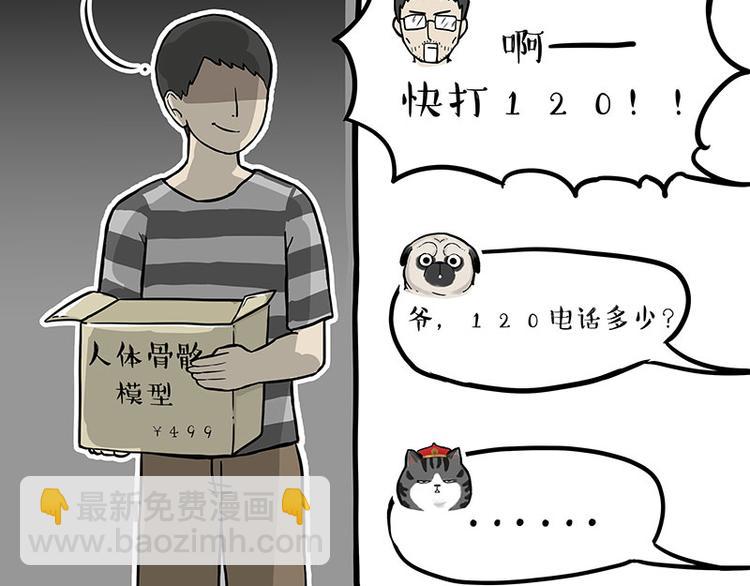 🍘吾皇巴扎黑 第241话 有吓成“骷髅” 第38页