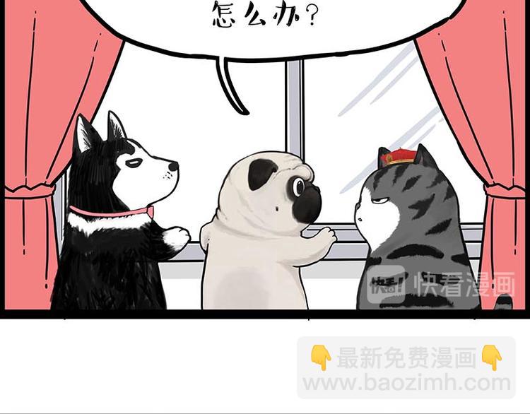 🍘吾皇巴扎黑 第243话 社会性死亡 第48页