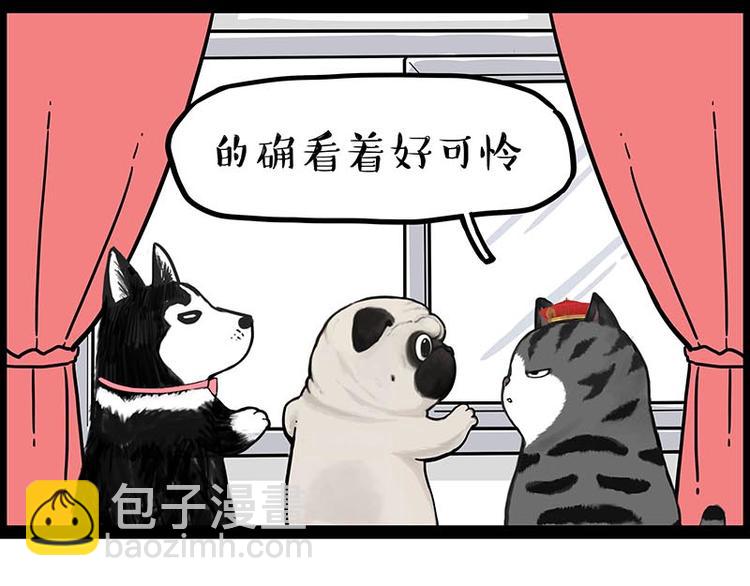 🍘吾皇巴扎黑 第243话 社会性死亡 第49页