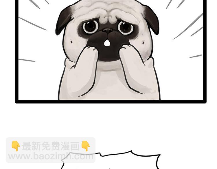 🍘吾皇巴扎黑 第247话 巴扎猪 第16页
