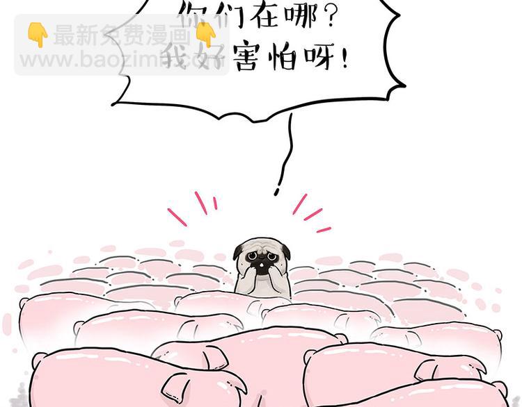 🍘吾皇巴扎黑 第247话 巴扎猪 第17页