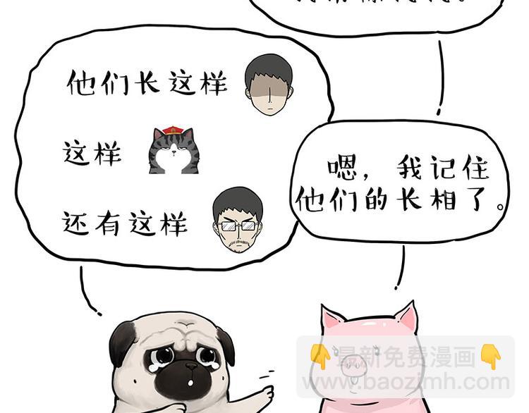 🍘吾皇巴扎黑 第247话 巴扎猪 第20页