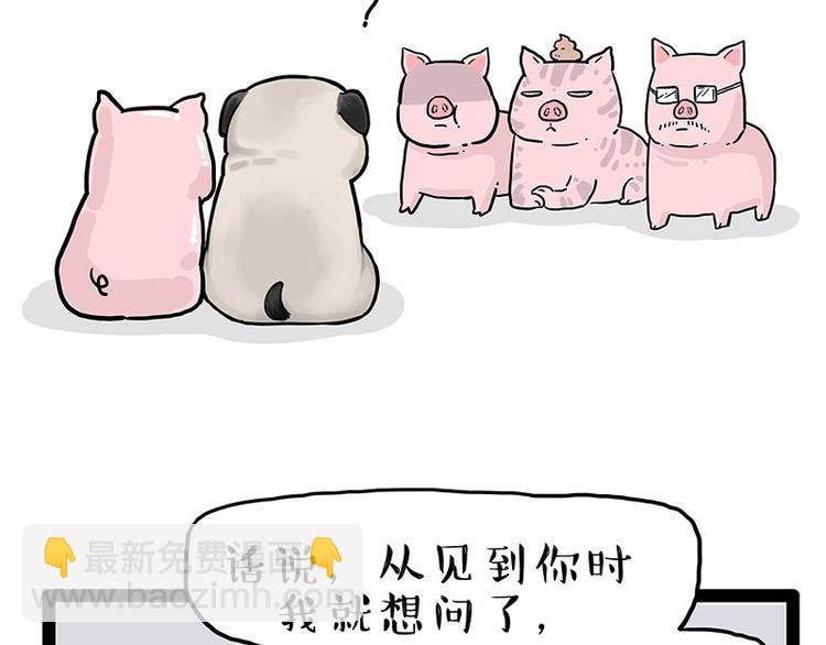 🍘吾皇巴扎黑 第247话 巴扎猪 第24页
