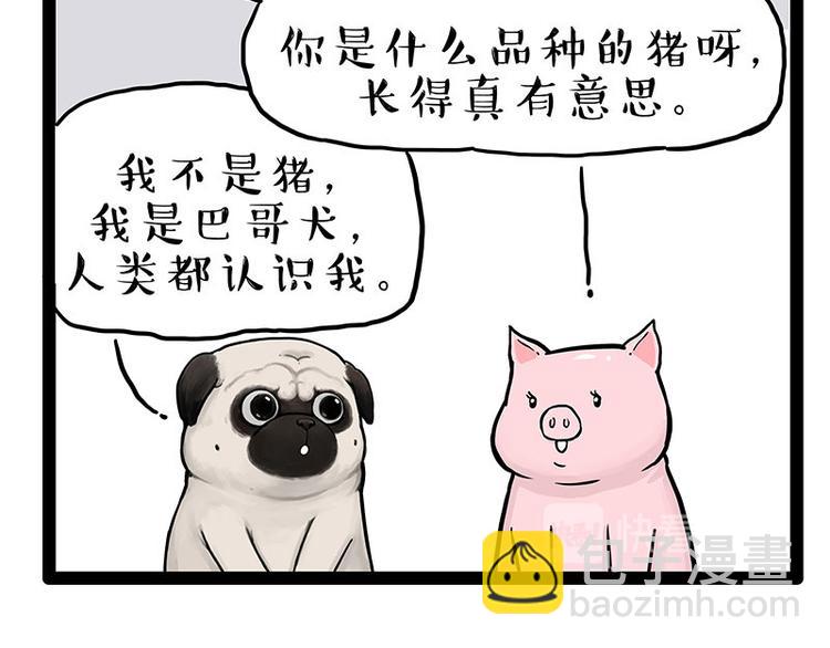 🍘吾皇巴扎黑 第247话 巴扎猪 第25页