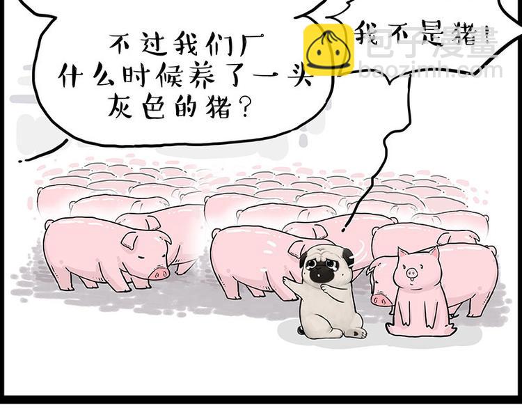 🍘吾皇巴扎黑 第247话 巴扎猪 第28页