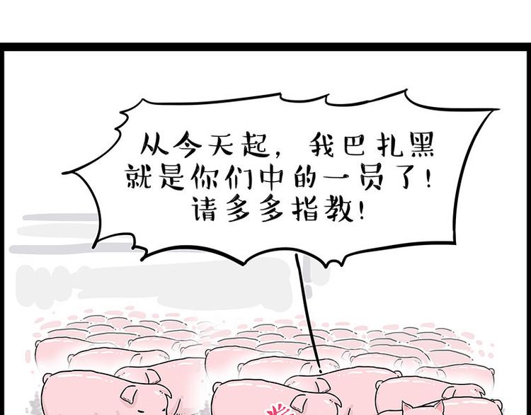🍘吾皇巴扎黑 第247话 巴扎猪 第32页
