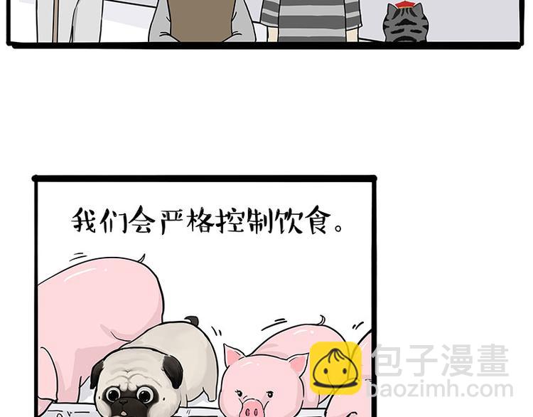 🍘吾皇巴扎黑 第247话 巴扎猪 第39页