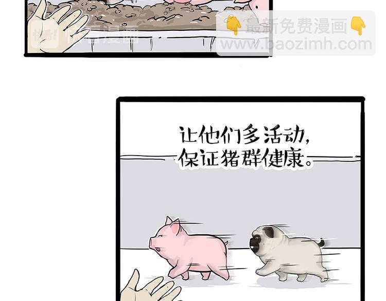 🍘吾皇巴扎黑 第247话 巴扎猪 第40页