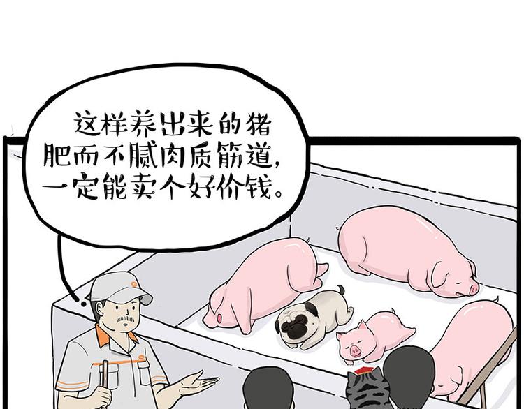🍘吾皇巴扎黑 第247话 巴扎猪 第42页