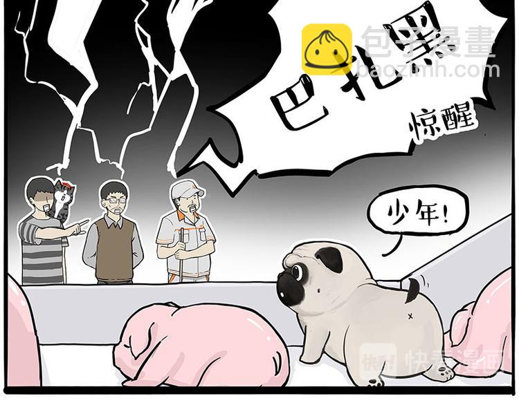 🍘吾皇巴扎黑 第247话 巴扎猪 第45页