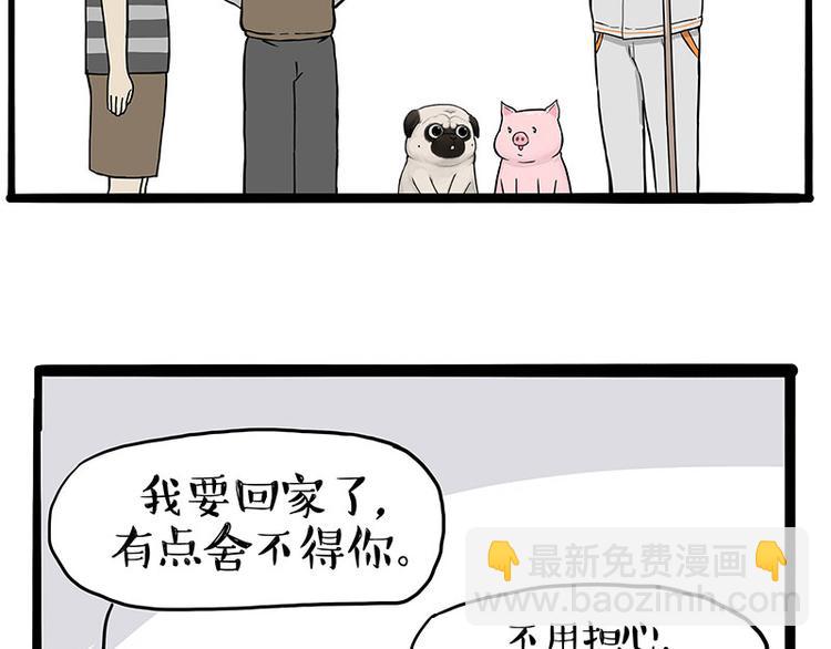 🍘吾皇巴扎黑 第247话 巴扎猪 第48页