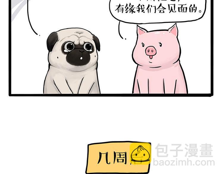 🍘吾皇巴扎黑 第247话 巴扎猪 第49页