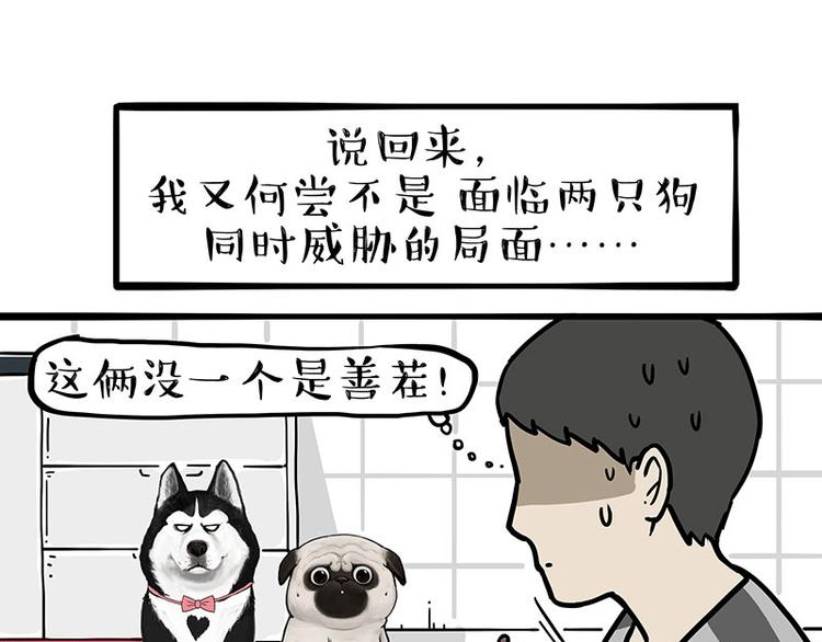 🍘吾皇巴扎黑 第253话 与狗争饭 第17页