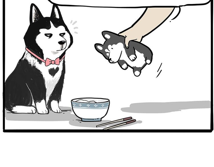 🍘吾皇巴扎黑 第253话 与狗争饭 第40页