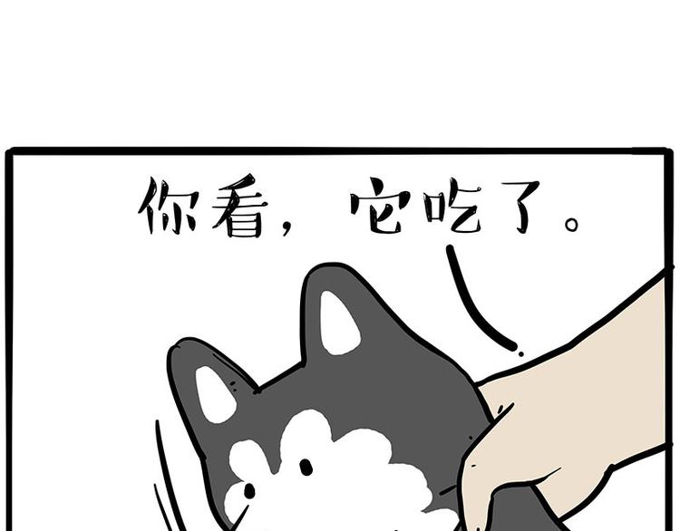 🍘吾皇巴扎黑 第253话 与狗争饭 第41页