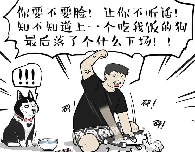 🍘吾皇巴扎黑 第253话 与狗争饭 第43页