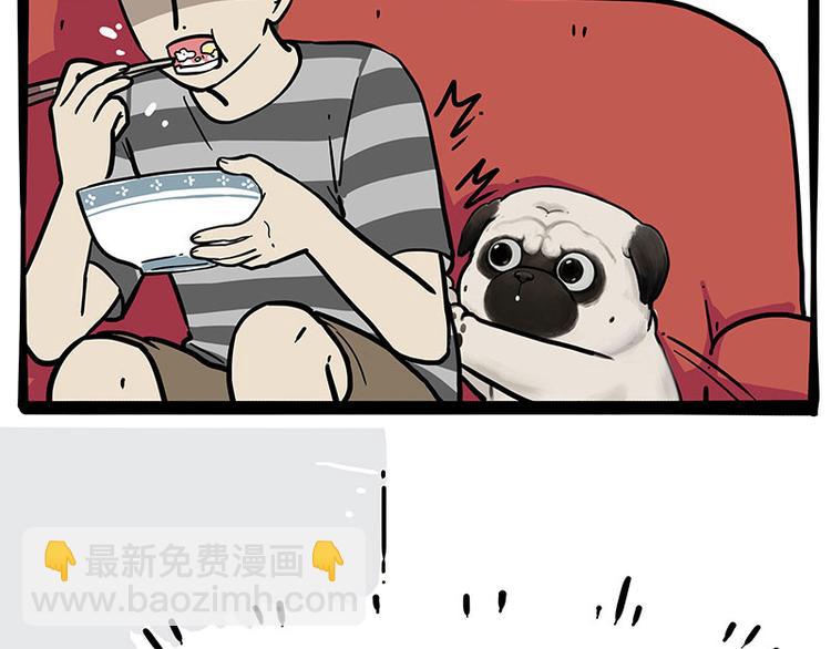 🍘吾皇巴扎黑 第253话 与狗争饭 第6页