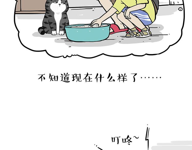 🍘吾皇巴扎黑 第255话 小学生的胜利 第5页