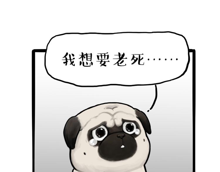 🍘吾皇巴扎黑 第261话 灭蟑？ 第12页