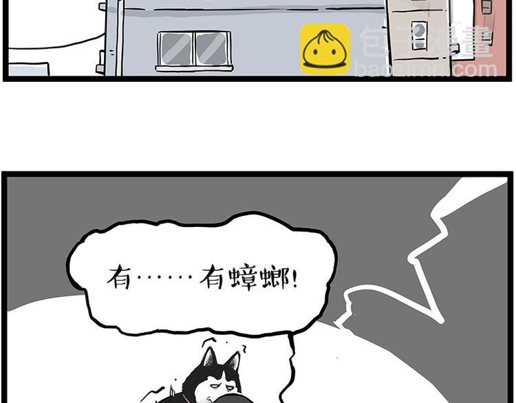 🍘吾皇巴扎黑 第261话 灭蟑？ 第15页