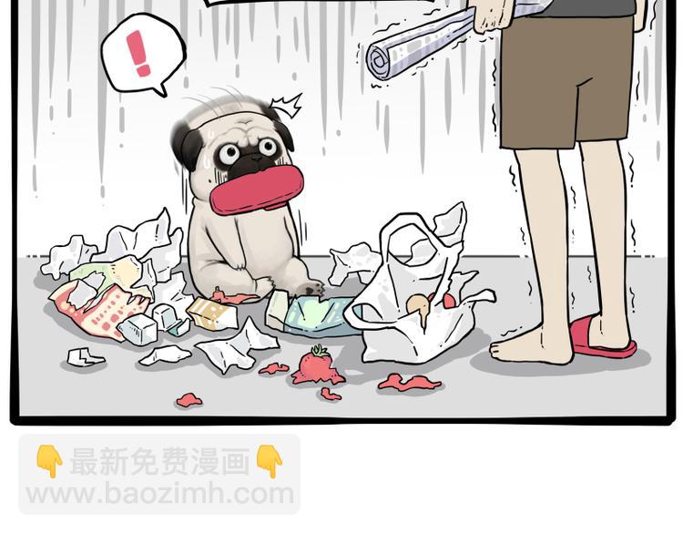 🍘吾皇巴扎黑 第261话 灭蟑？ 第8页