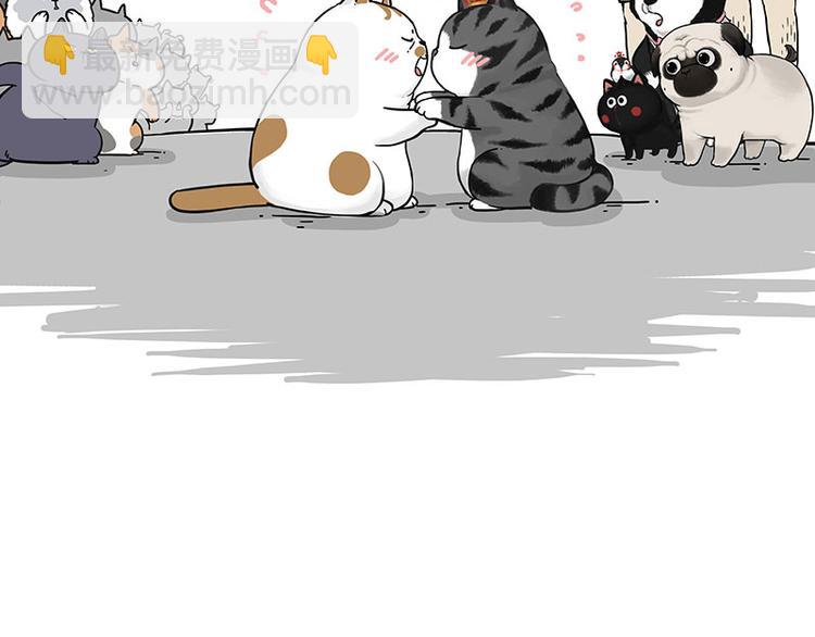 🍘吾皇巴扎黑 第263话 没心没肺的快乐 第13页