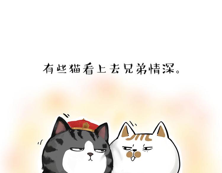 🍘吾皇巴扎黑 第263话 没心没肺的快乐 第15页