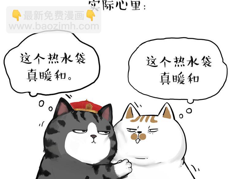 🍘吾皇巴扎黑 第263话 没心没肺的快乐 第17页
