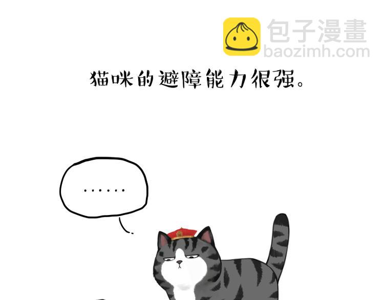 🍘吾皇巴扎黑 第263话 没心没肺的快乐 第19页