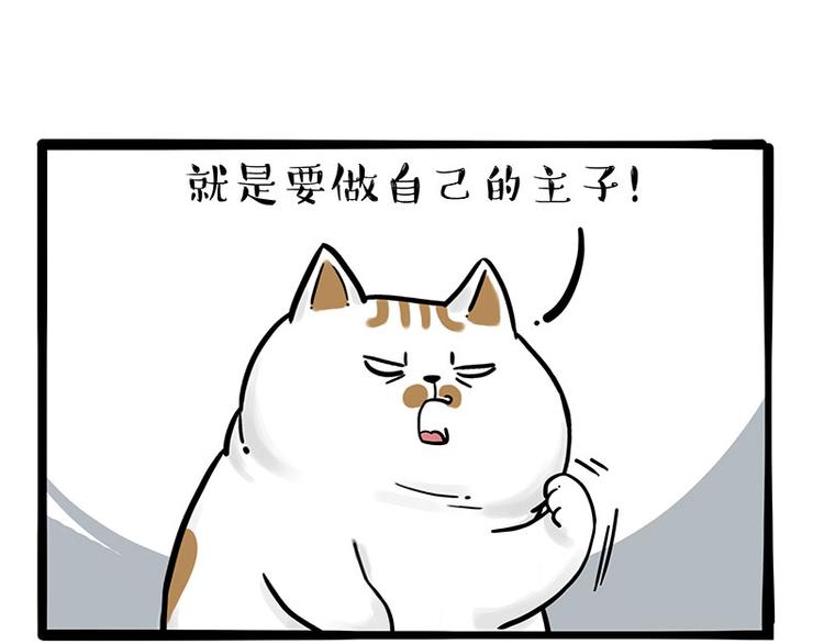 🍘吾皇巴扎黑 第263话 没心没肺的快乐 第2页