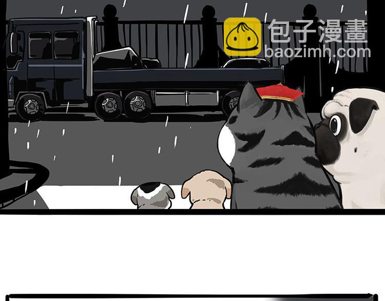 🍘吾皇巴扎黑 第267话 不让你流浪 第10页