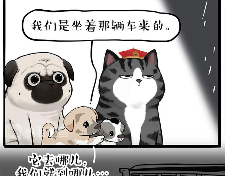 🍘吾皇巴扎黑 第267话 不让你流浪 第11页