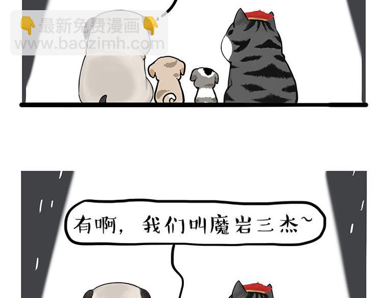 🍘吾皇巴扎黑 第267话 不让你流浪 第15页