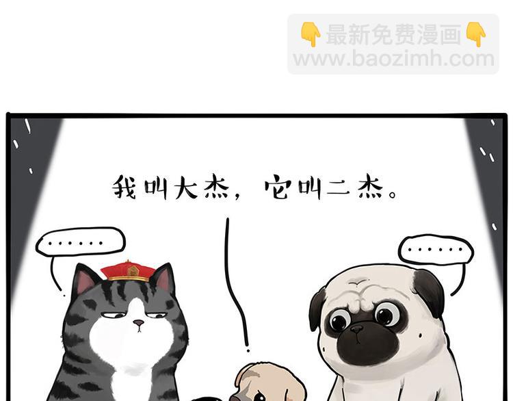 🍘吾皇巴扎黑 第267话 不让你流浪 第17页