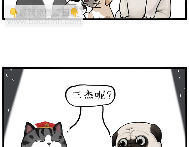 🍘吾皇巴扎黑 第267话 不让你流浪 第18页