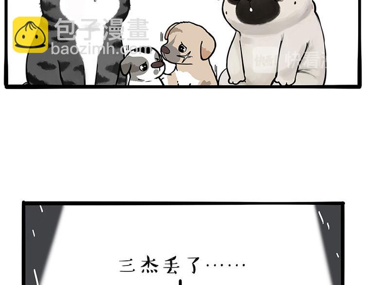 🍘吾皇巴扎黑 第267话 不让你流浪 第19页
