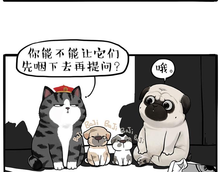🍘吾皇巴扎黑 第267话 不让你流浪 第2页