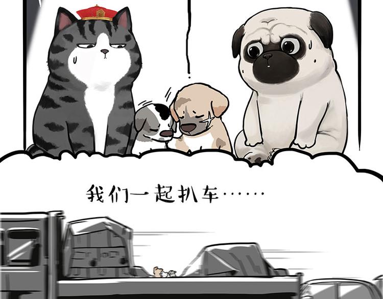 🍘吾皇巴扎黑 第267话 不让你流浪 第20页