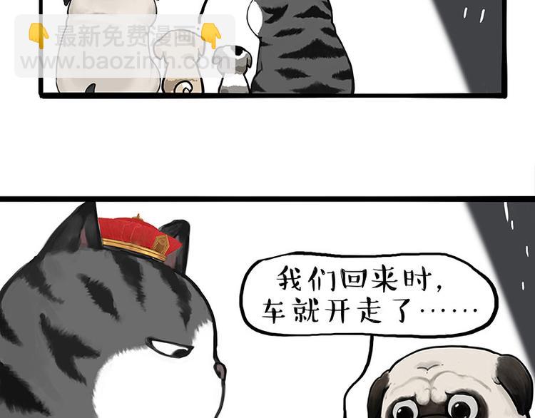 🍘吾皇巴扎黑 第267话 不让你流浪 第22页
