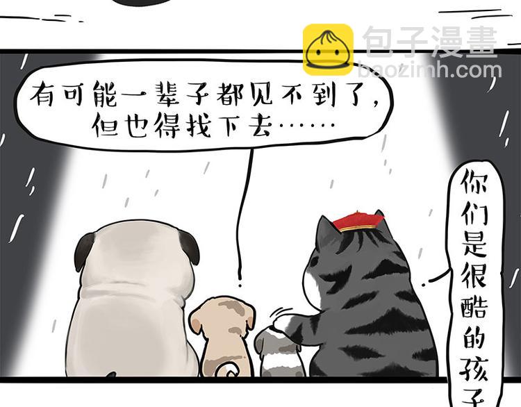 🍘吾皇巴扎黑 第267话 不让你流浪 第26页