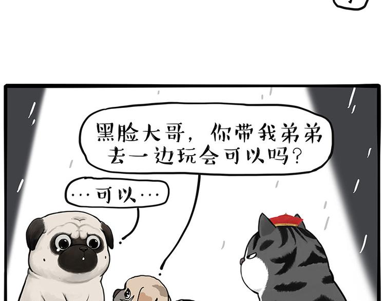 🍘吾皇巴扎黑 第267话 不让你流浪 第27页