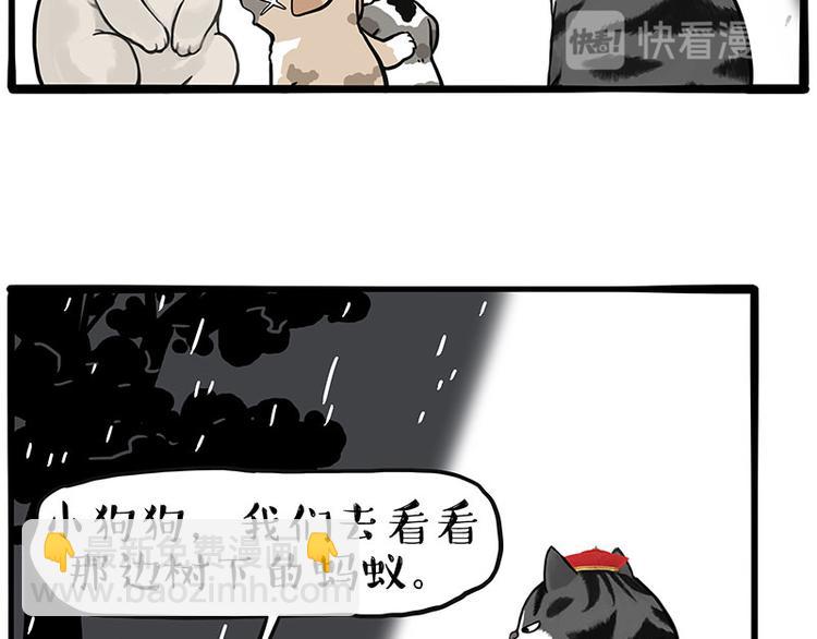 🍘吾皇巴扎黑 第267话 不让你流浪 第28页