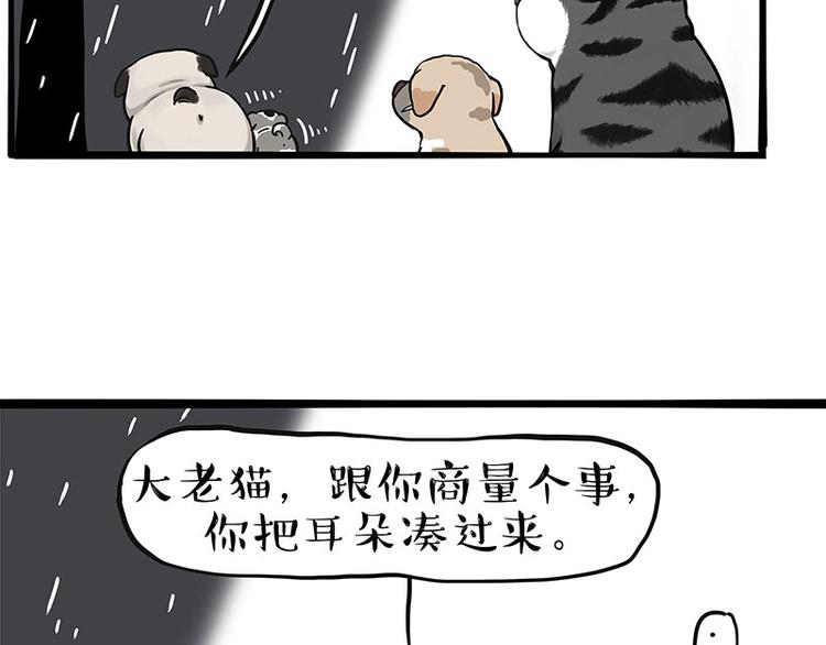 🍘吾皇巴扎黑 第267话 不让你流浪 第29页